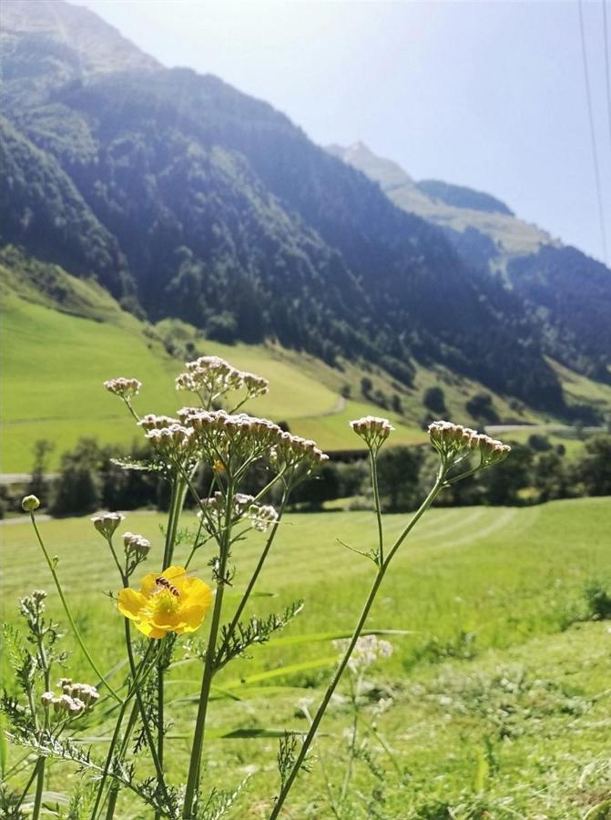 Vila Schiederhof Mittersill Exteriér fotografie