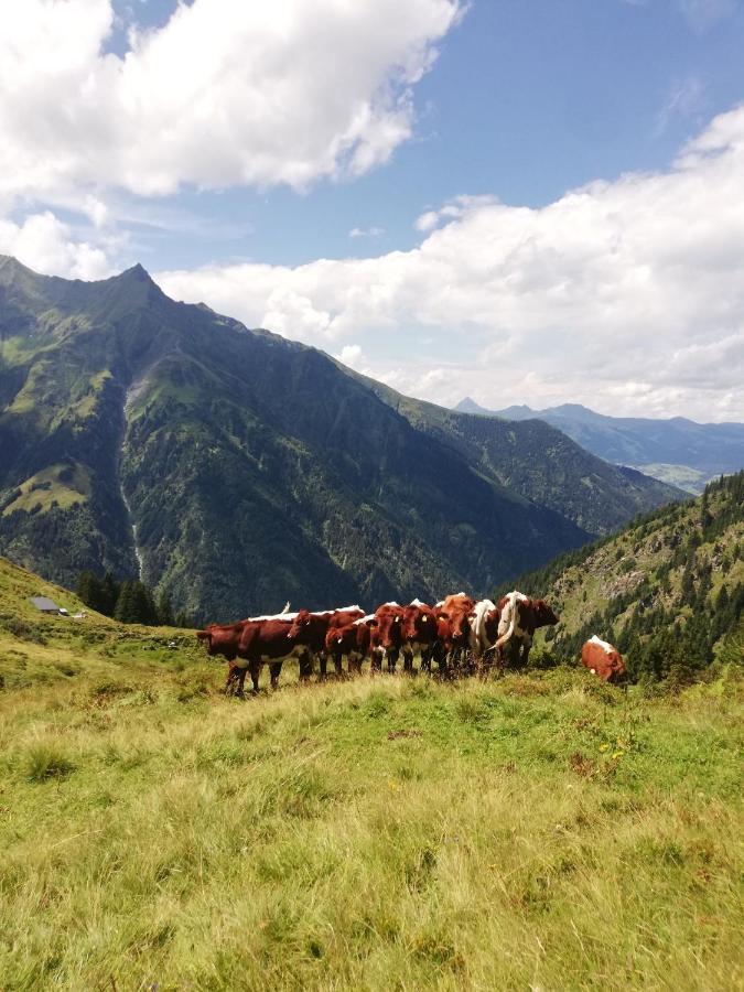 Vila Schiederhof Mittersill Exteriér fotografie